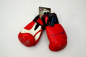 Custom Boxing & MMA Gloves OEM