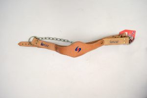 Neck Strength Head Harness